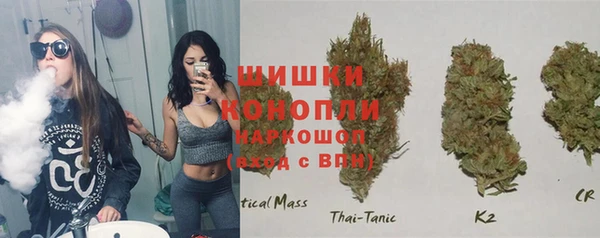 дмт Дмитровск