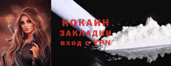 ПСИЛОЦИБИНОВЫЕ ГРИБЫ Дмитриев