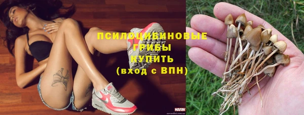 дмт Дмитровск