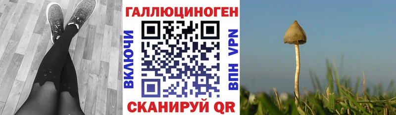 Псилоцибиновые грибы мицелий  Кольчугино 